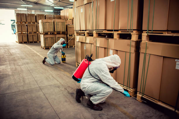Best Pest Inspection Near Me  in Washington, NJ