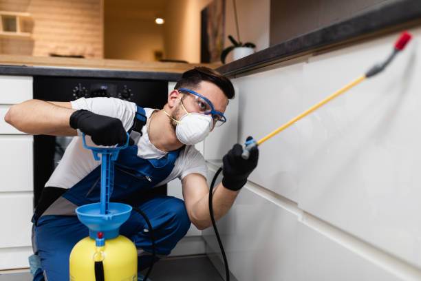 Best Pest Removal Services  in Washington, NJ