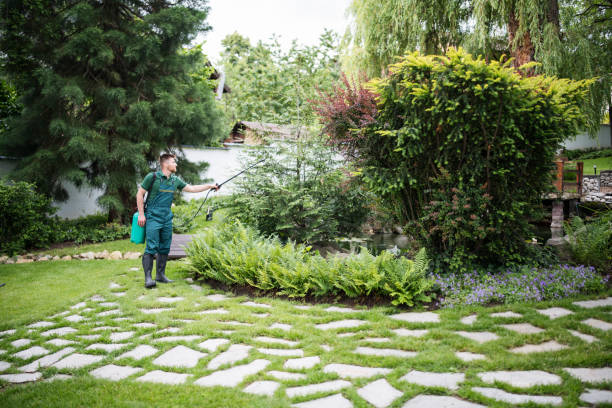 Trusted Washington, NJ Pest Control Experts