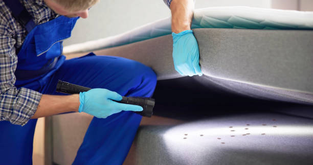 Best Affordable Pest Control Services  in Washington, NJ