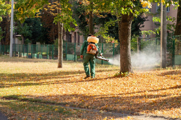 Professional Pest Control in Washington, NJ