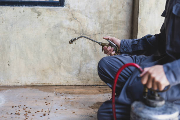 Pest Prevention Services in Washington, NJ